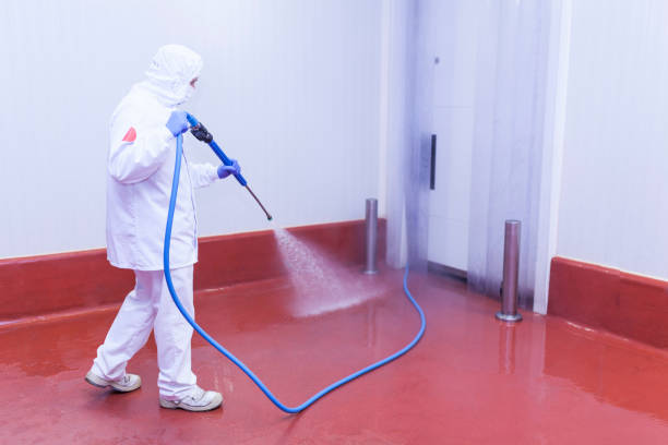 Spring Cleaning in Pasadena, CA